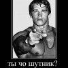 Воскресная тренька (Новосибирск) Воскресная тренька (Новосибирск)