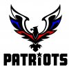 Сбор участников 100-дневки и открытая тренировка команды The Patriots [7] (Москва)