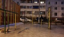 Площадка для воркаута в городе Красногорск №7186 Средняя Советская фото