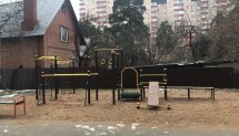 Площадка для воркаута в городе Королев №11145 Маленькая Хомуты фото