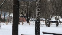 Площадка для воркаута в городе Королев №11168 Маленькая Легендарная фото