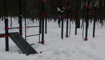 Площадка для воркаута в городе Москва №12740 Маленькая Хомуты фото
