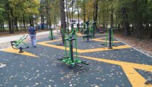Площадка для воркаута в городе Одинцово №4284 Маленькая Советская фото