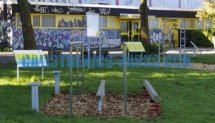 Площадка для воркаута в городе Дармштадт №3485 Маленькая Советская фото