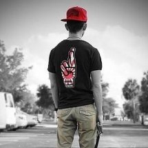 с. Добраничевка