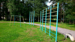 Площадка для воркаута в городе Череповец №4026 Большая Советская фото