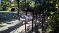 Площадка для воркаута в городе Киев №4610 Маленькая Советская фото