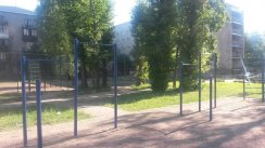 Площадка для воркаута в городе Санкт-Петербург №2348 Средняя Советская фото