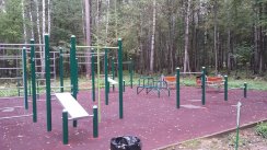 Площадка для воркаута в городе Ногинск №5614 Средняя Хомуты фото