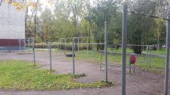 Площадка для воркаута в городе Санкт-Петербург №5791 Средняя Советская фото