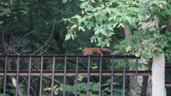 Площадка для воркаута в городе Лыткарино №5709 Средняя Современная фото