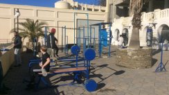 Площадка для воркаута в городе Сочи №6119 Средняя Советская фото