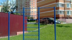 Площадка для воркаута в городе Ивантеевка №6871 Маленькая Советская фото