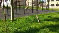 Площадка для воркаута в городе Тула №7284 Средняя Хомуты фото