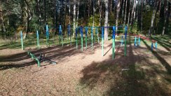 Площадка для воркаута в городе Минск №7784 Маленькая Современная фото