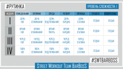 Программы тренировок на турниках и брусьях от SWT BarBosS
