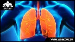 Как правильно дышать во время упражнений?