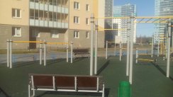 Площадка для воркаута в городе Санкт-Петербург №8373 Средняя Хомуты фото