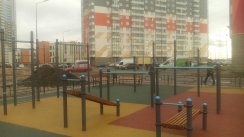 Площадка для воркаута в городе Санкт-Петербург №8454 Средняя Хомуты фото