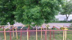 Площадка для воркаута в городе Торжок №8587 Средняя Советская фото