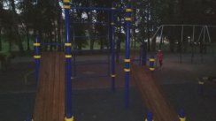 Площадка для воркаута в городе Великий Новгород №8861 Большая Хомуты фото