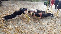 Площадка для воркаута в городе Курск №9166 Большая Советская фото