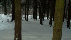 Площадка для воркаута в городе Москва №9263 Маленькая Советская фото