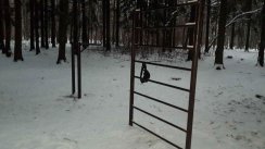 Площадка для воркаута в городе Москва №9263 Маленькая Советская фото