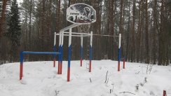 Площадка для воркаута в городе Сергиев Посад №9379 Маленькая Современная фото