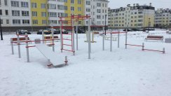 Площадка для воркаута в городе Санкт-Петербург №9418 Средняя Хомуты фото