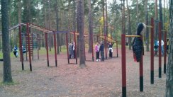 Площадка для воркаута в городе Санкт-Петербург №9798 Средняя Советская фото