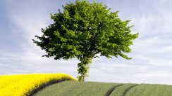 Площадка для воркаута в городе Волгоград №9860 Маленькая Хомуты фото