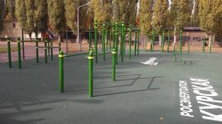 Площадка для воркаута в городе Курчатов №8076 Большая Хомуты фото