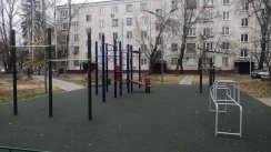 Площадка для воркаута в городе Балашиха №10085 Средняя Хомуты фото