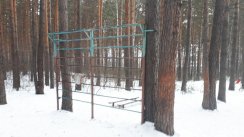 Площадка для воркаута в городе Красноярск №10612 Маленькая Советская фото