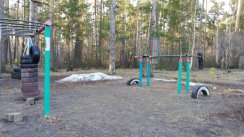 Площадка для воркаута в городе Казань №10645 Средняя Легендарная фото