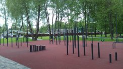 Площадка для воркаута в городе Брянск №10750 Большая Хомуты фото