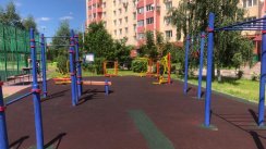 Площадка для воркаута в городе Красногорск №10793 Маленькая Хомуты фото