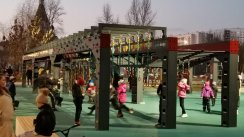 Площадка для воркаута в городе Москва №11608 Средняя Современная фото