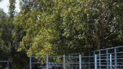 Площадка для воркаута в городе Омск №11734 Маленькая Советская фото