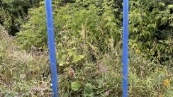 Площадка для воркаута в городе Москва №12010 Маленькая Советская фото