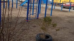 Площадка для воркаута в городе Омск №12349 Большая Хомуты фото