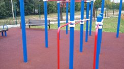 Площадка для воркаута в городе Балашиха №12634 Большая Хомуты фото