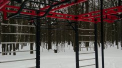 Площадка для воркаута в городе Москва №12738 Средняя Современная фото