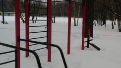 Площадка для воркаута в городе Москва №12738 Средняя Современная фото