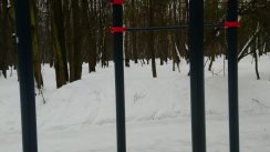 Площадка для воркаута в городе Москва №12739 Маленькая Хомуты фото