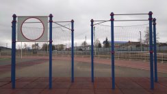 Площадка для воркаута в городе Бузулук №12782 Большая Хомуты фото