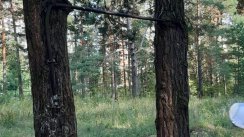 Площадка для воркаута в городе Протвино №12783 Маленькая Советская фото