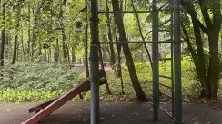 Площадка для воркаута в городе Москва №13169 Средняя Хомуты фото