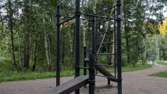 Площадка для воркаута в городе Лобня №13192 Маленькая Хомуты фото